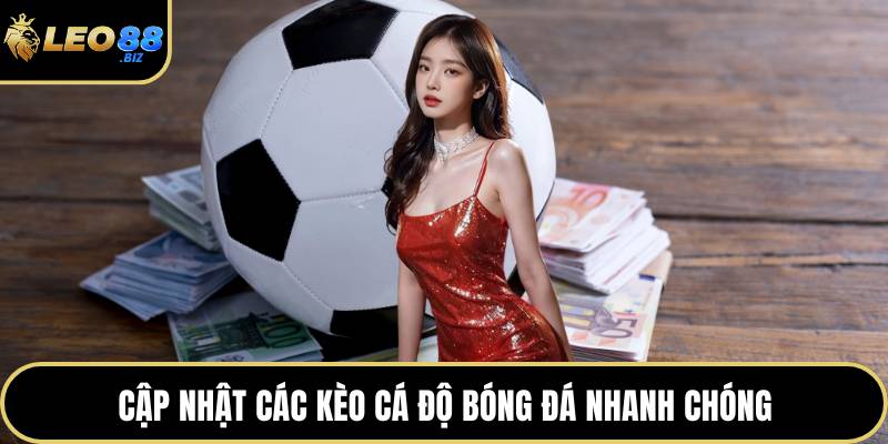 Cập nhật các kèo cá độ bóng đá nhanh chóng