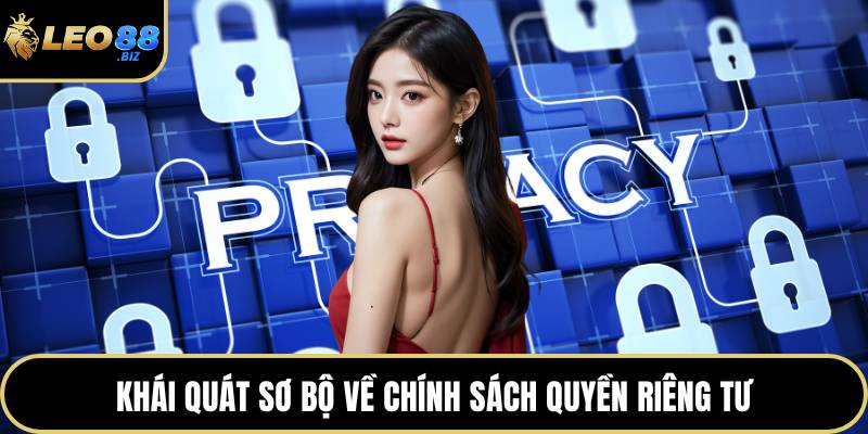 Khái quát sơ bộ về chính sách quyền riêng tư
