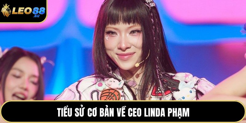 Tiểu sử cơ bản về CEO Linda Phạm
